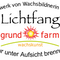Lichtfänge – bleibende Wachskunstwerke