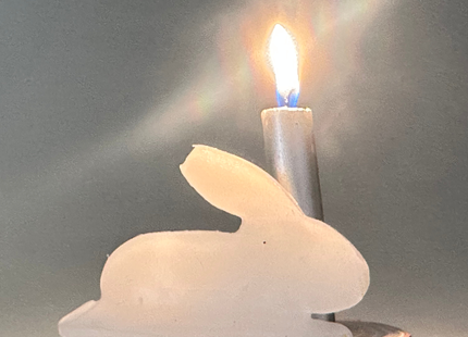 Lichtbild Hase – Kerzenlicht für Kaninchenseelen | Set mit 4 Kerzen