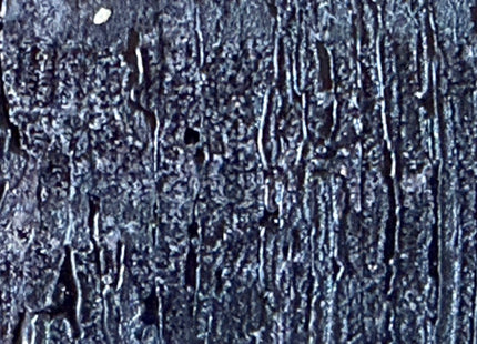 Wetterkerze Schwarz