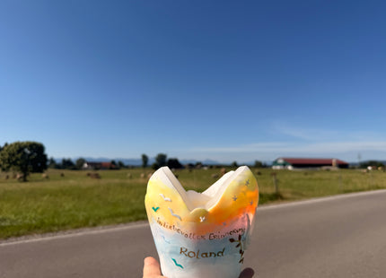 Erinnerungslicht in der Natur des Allgäus