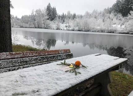 Rauhnachts-Guide – Spirituelles Workbook für Rituale, Transformation & 13 Wünsche Kerze