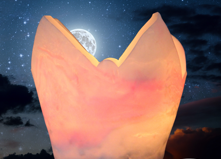 Engelsförmige Lichtschale aus Rosa Wachs bei sternenklarer Nacht mit sanft leuchtendem LED-Licht