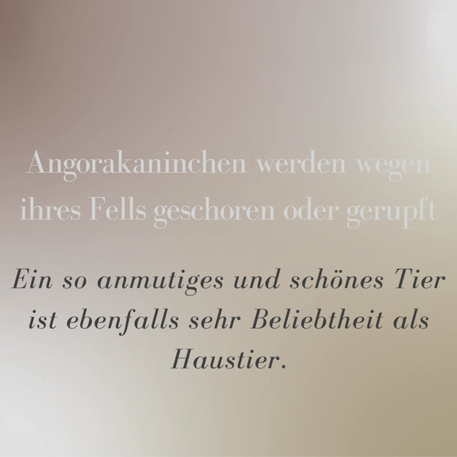 Lichtbild Hase – Kerzenlicht für Kaninchenseelen | Set mit 4 Kerzen