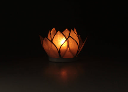 Das schwarze Lotus Licht als spiritueller Begleiter bei einer Kartenlegung mit Orakelkarten für die Schattenarbeit.
